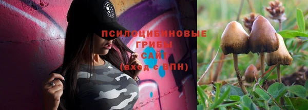 ГАЛЛЮЦИНОГЕННЫЕ ГРИБЫ Алексин
