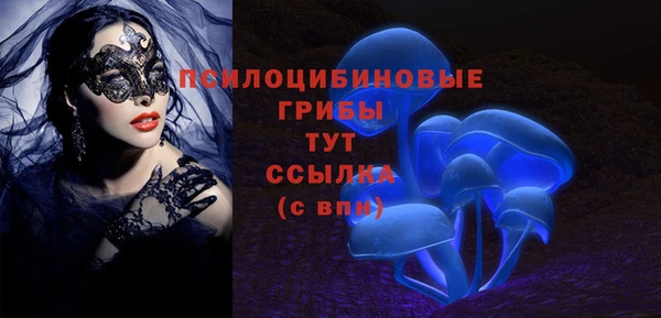 амф Алексеевка